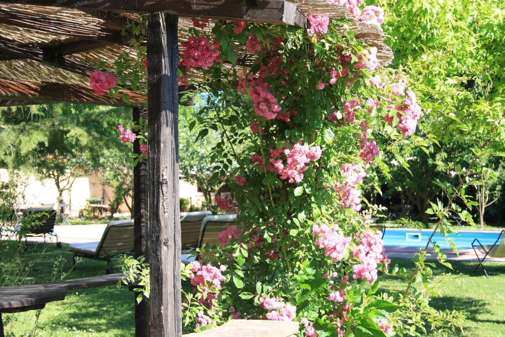 Villa Belfiore Ostellato Εξωτερικό φωτογραφία